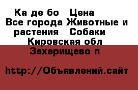 Ка де бо › Цена ­ 25 - Все города Животные и растения » Собаки   . Кировская обл.,Захарищево п.